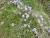 Img.VTax2777.Ex2.Img1