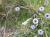 Img.VTax2777.Ex2.Img2