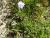 Img.VTax2777.Ex2.Img3