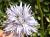 Img.VTax2777.Ex2.Img4