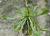 Img.VTax2777.Ex2.Img5