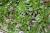 Img.VTax2777.Ex2.Img6
