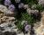 Img.VTax2778.Ex3.Img2