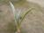 Img.VTax2796.Ex1.Img1