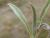 Img.VTax2796.Ex1.Img2