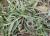 Img.VTax2796.Ex1.Img3