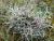 Img.VTax2796.Ex1.Img4