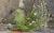 Img.VTax28.Ex1.Img1