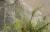 Img.VTax28.Ex1.Img2