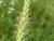 Img.VTax2805.Ex2.Img1