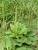 Img.VTax2805.Ex2.Img2