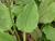 Img.VTax2805.Ex2.Img3