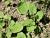 Img.VTax2805.Ex3.Img1