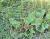 Img.VTax2805.Ex3.Img2