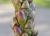 Img.VTax2805.Ex3.Img3