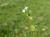 Img.VTax2808.Ex2.Img1