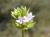 Img.VTax2808.Ex2.Img2