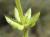 Img.VTax2808.Ex2.Img3