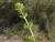 Img.VTax2808.Ex2.Img4