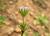 Img.VTax2808.Ex2.Img5