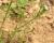Img.VTax2808.Ex2.Img6