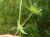 Img.VTax2808.Ex2.Img7