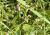 Img.VTax2841.Ex3.Img1