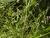 Img.VTax2841.Ex3.Img2