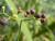 Img.VTax2841.Ex3.Img3