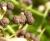 Img.VTax2841.Ex3.Img4