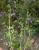 Img.VTax2848.Ex1.Img2