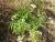 Img.VTax2863.Ex4.Img1