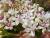 Img.VTax2863.Ex4.Img3