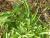 Img.VTax2863.Ex4.Img5