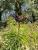 Img.VTax2863.Ex5.Img1
