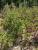 Img.VTax2863.Ex5.Img2