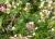Img.VTax2867.Ex2.Img3