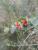 Img.VTax2867.Ex3.Img1