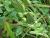Img.VTax2872.Ex2.Img1