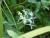 Img.VTax2872.Ex2.Img2