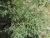 Img.VTax2874.Ex2.Img2