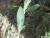 Img.VTax2874.Ex2.Img3