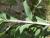 Img.VTax2874.Ex2.Img5