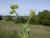 Img.VTax2890.Ex1.Img1
