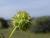 Img.VTax2890.Ex1.Img2