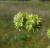 Img.VTax2890.Ex1.Img4