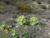 Img.VTax2890.Ex2.Img1