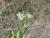 Img.VTax2890.Ex2.Img2