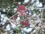 Img.VTax2902.Ex2.Img1