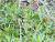 Img.VTax2902.Ex2.Img2